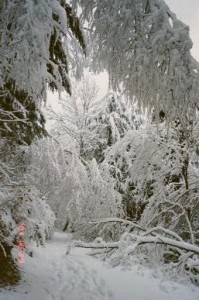 032_31_hoch 032_31_hoch